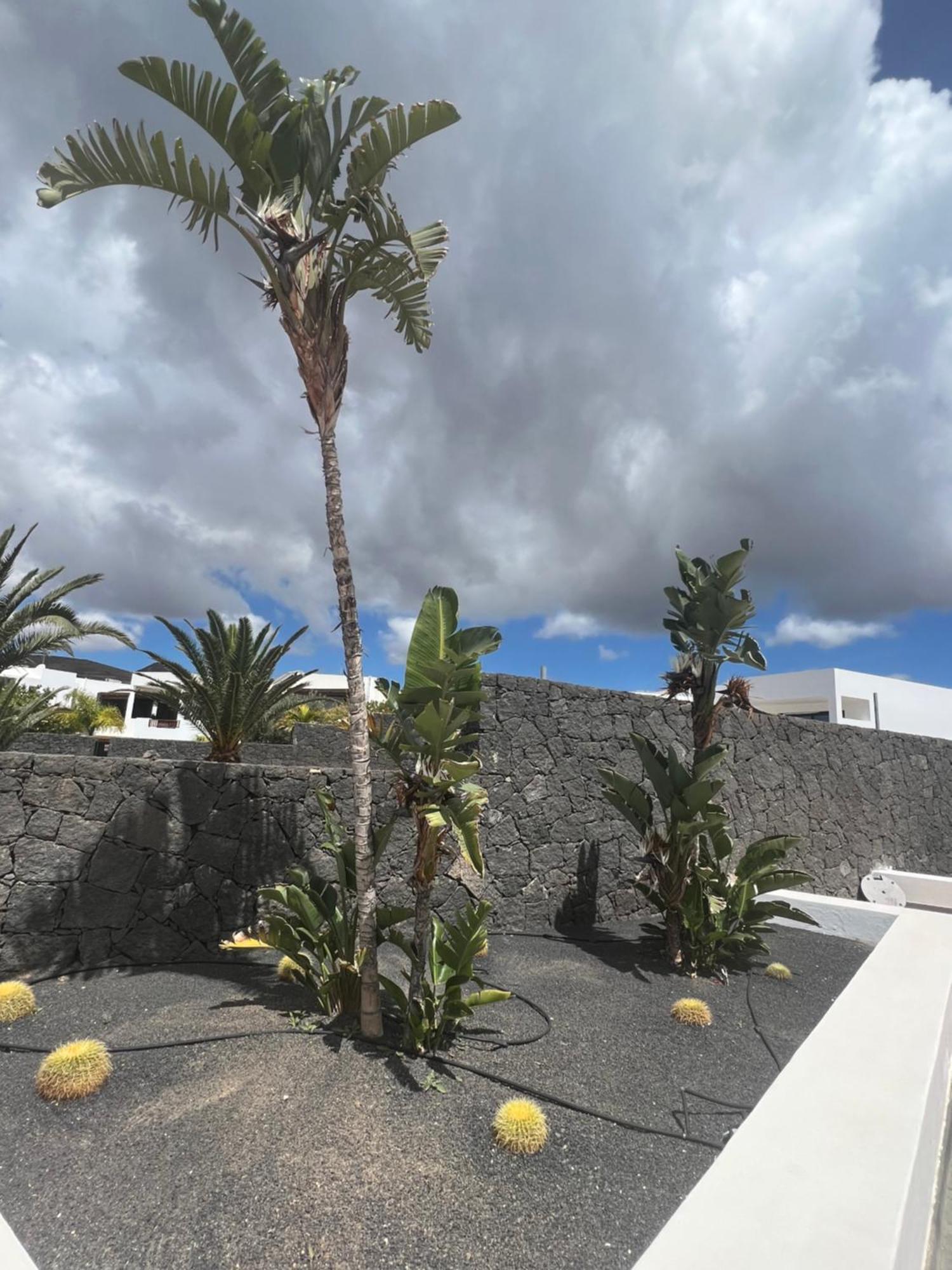 Villa Dedalos - A Luxury Large Villa With A Heated Pool In Puerto Calero Exterior photo